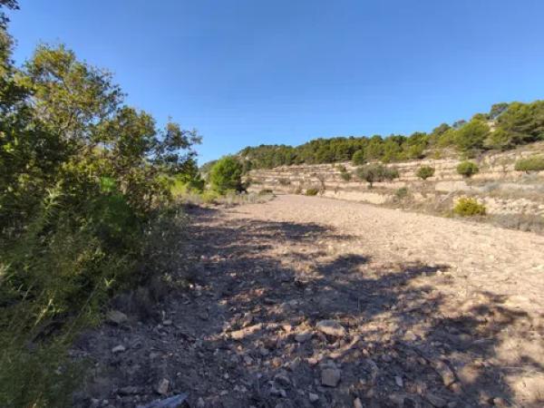 Terreno en Partida Bortolons, 11