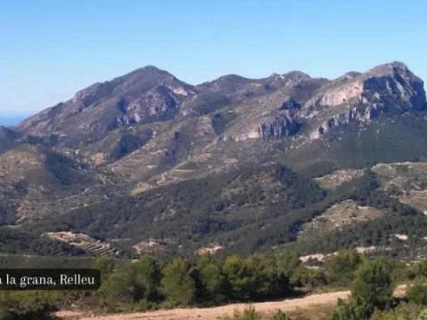 Terreno en Partida Bortolons, 11