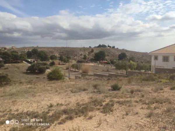 Terreno en calle mostajo, 20