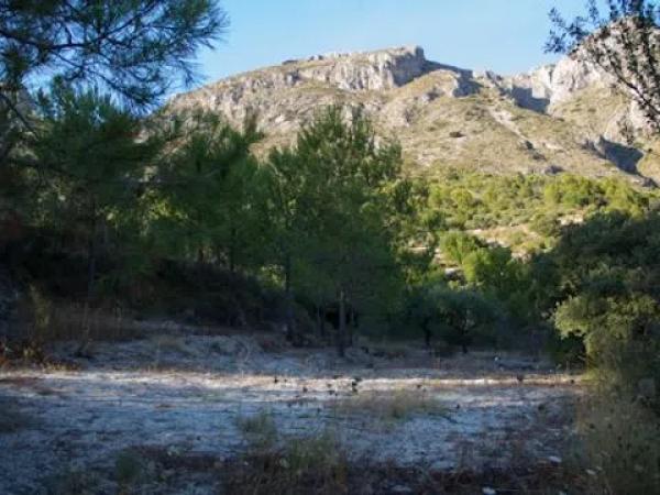 Terreno en Cv-757, km 2