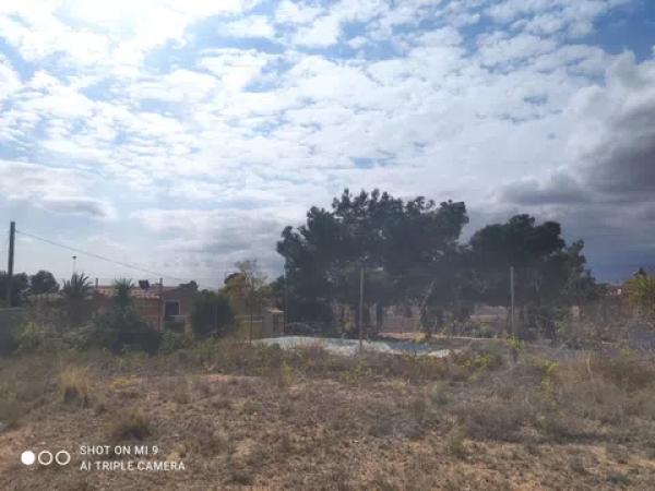 Terreno en calle mostajo, 20