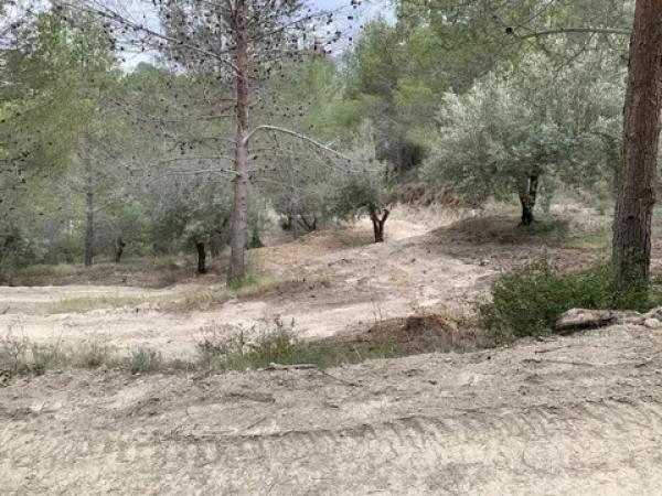 Terreno en Cv-757, km 2