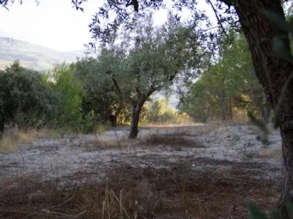 Terreno en Cv-757, km 2