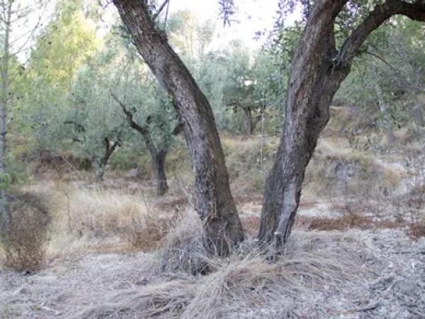 Terreno en Cv-757, km 2