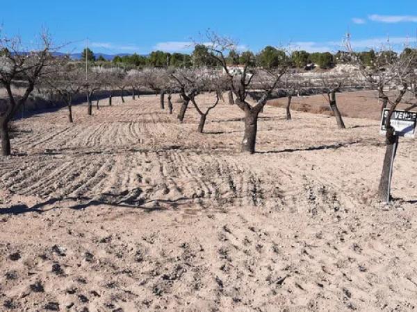 Terreno en Partida Torrosellas, 114