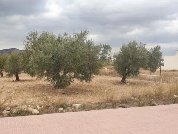 Terreno en calle de los Músicos, 29