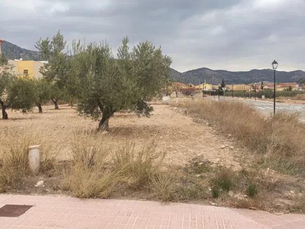 Terreno en calle de los Músicos, 29