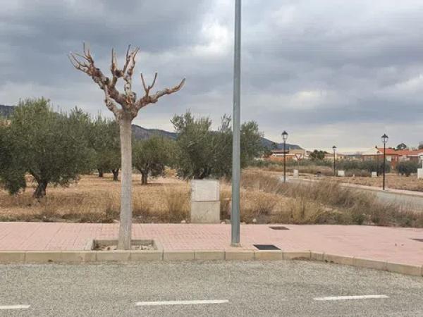 Terreno en calle de los Músicos, 29