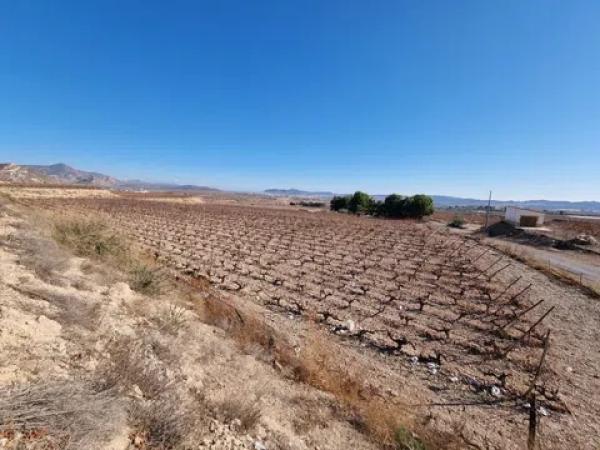 Terreno en Partida Horna Alta, 12 g