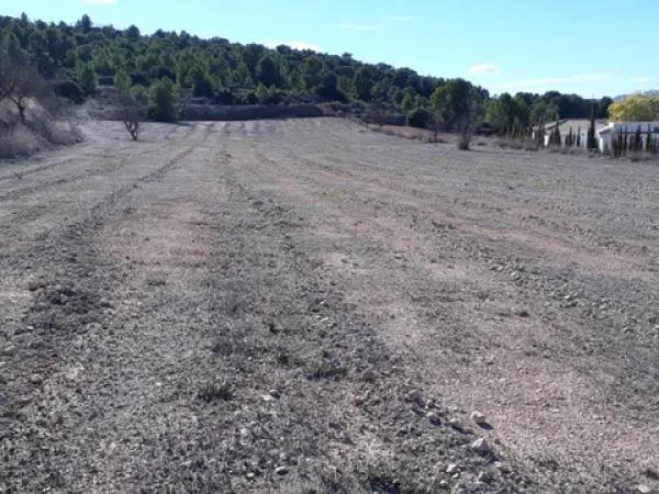 Terreno en carretera Naturaleza De Pinoso s/n Sn