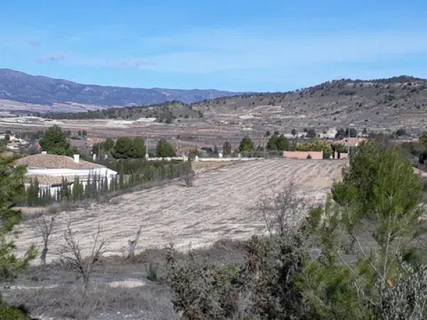 Terreno en carretera Naturaleza De Pinoso s/n Sn