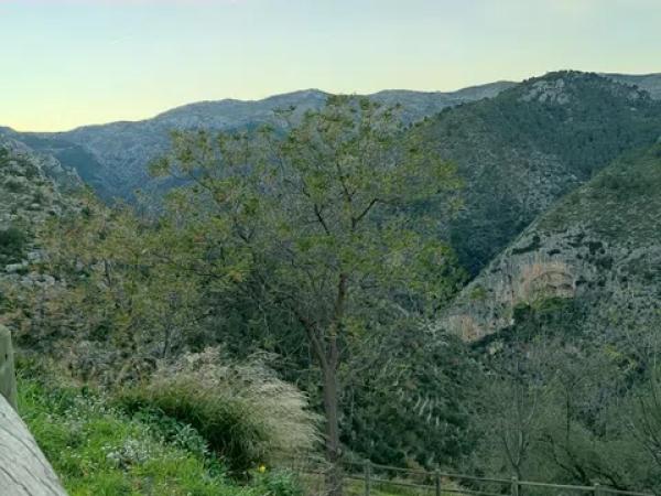 Terreno en Urbanització Balcón de l'Aguart, 2