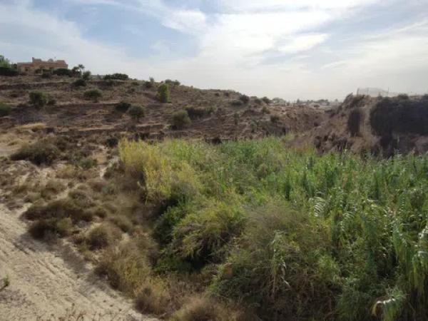 Terreno en Partida Pla Partidors, 6