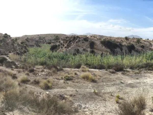 Terreno en Partida Pla Partidors, 6