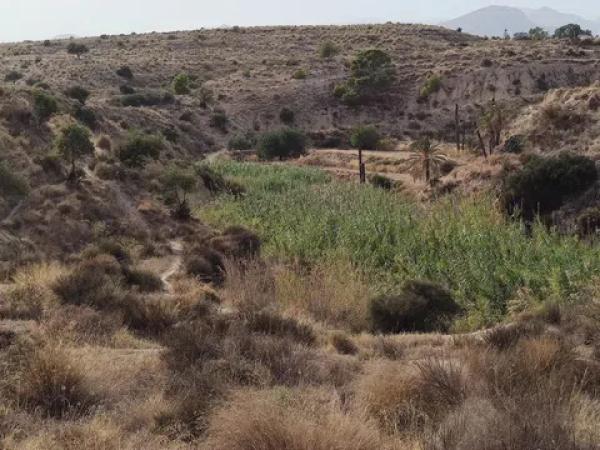 Terreno en Partida Pla Partidors, 6