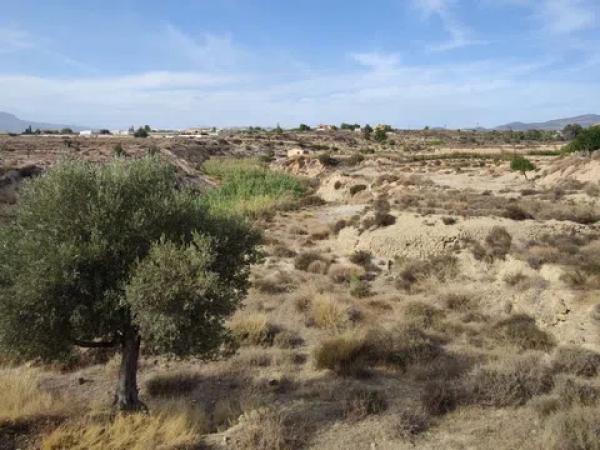 Terreno en Partida Pla Partidors, 6