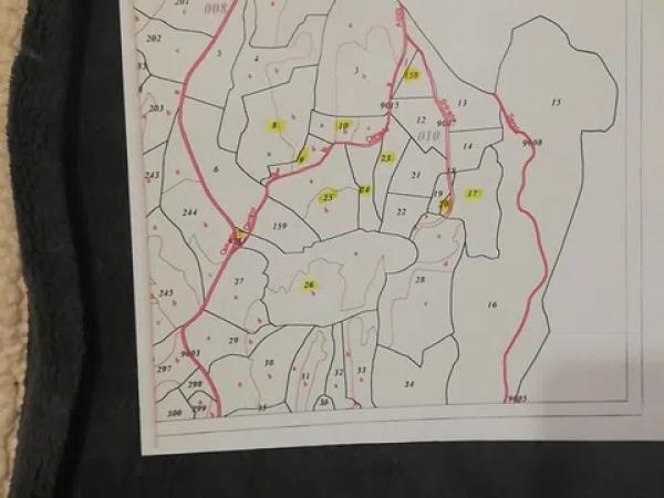 Terreno en calle Haya s/n