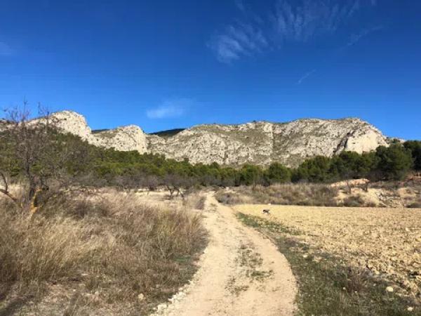 Terreno en Cv-802, km 20