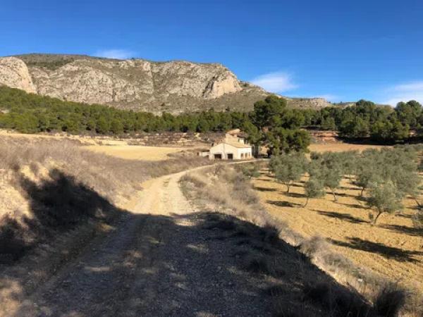 Terreno en Cv-802, km 20