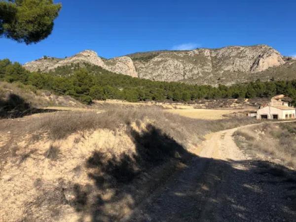 Terreno en Cv-802, km 20