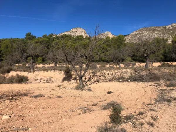 Terreno en Cv-802, km 20