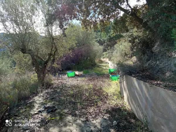 Terreno en carretera Balones, km 10