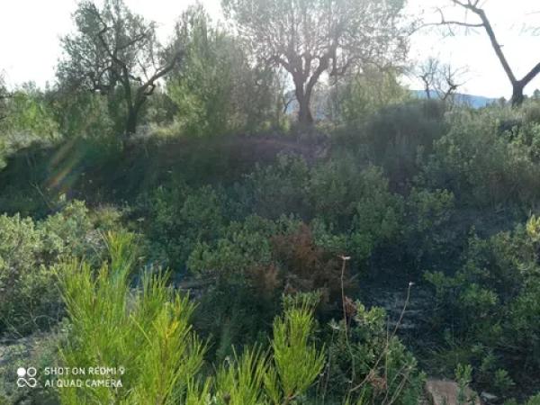 Terreno en carretera Balones, km 10