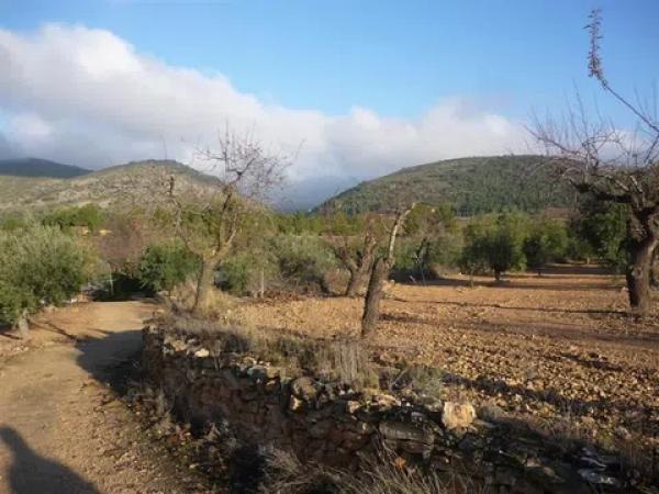 Terreno en Cm Partida Pla de Cuart 23 poligono 5 parcela 53 001201800yh07h - 5/53