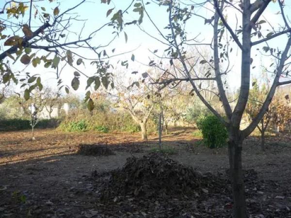 Terreno en Cm Partida Pla de Cuart 23 poligono 5 parcela 53 001201800yh07h - 5/53