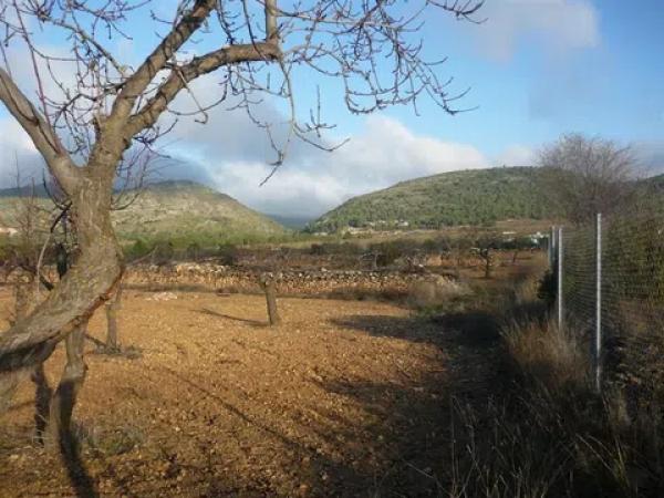 Terreno en Cm Partida Pla de Cuart 23 poligono 5 parcela 53 001201800yh07h - 5/53