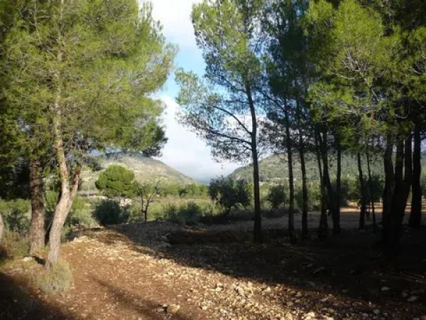 Terreno en Cm Partida Pla de Cuart 23 poligono 5 parcela 53 001201800yh07h - 5/53