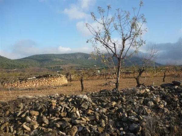 Terreno en Cm Partida Pla de Cuart 23 poligono 5 parcela 53 001201800yh07h - 5/53