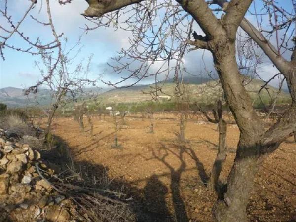 Terreno en Cm Partida Pla de Cuart 23 poligono 5 parcela 53 001201800yh07h - 5/53