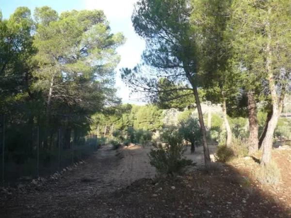 Terreno en Cm Partida Pla de Cuart 23 poligono 5 parcela 53 001201800yh07h - 5/53