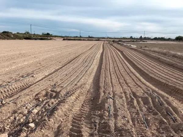 Terreno en partida carga, 159