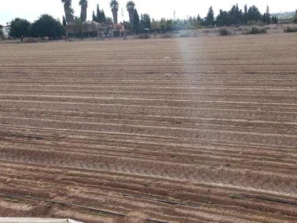 Terreno en poligono 40 partida carga, 159