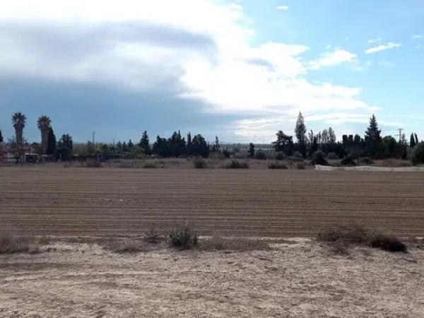 Terreno en poligono 40 partida carga, 159