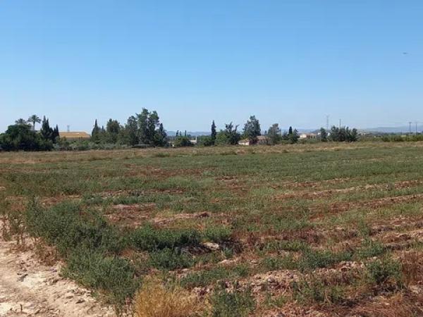 Terreno en poligono 40 partida carga, 159