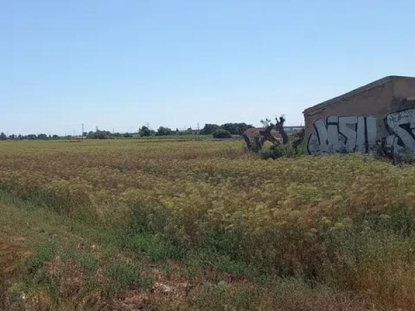 Terreno en poligono 40 partida carga, 159