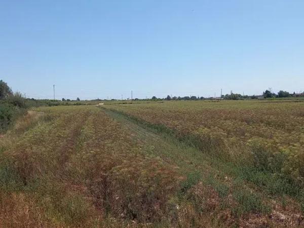 Terreno en poligono 40 partida carga, 159