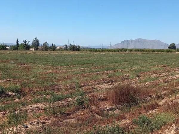 Terreno en poligono 40 partida carga, 159