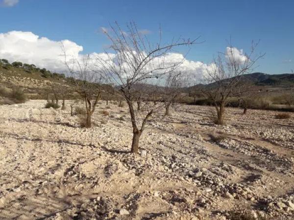 Terreno en Les camarilles, km 4