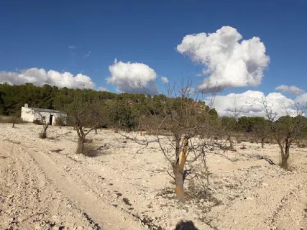 Terreno en Les camarilles, km 4