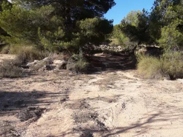 Terreno en Les camarilles, km 4