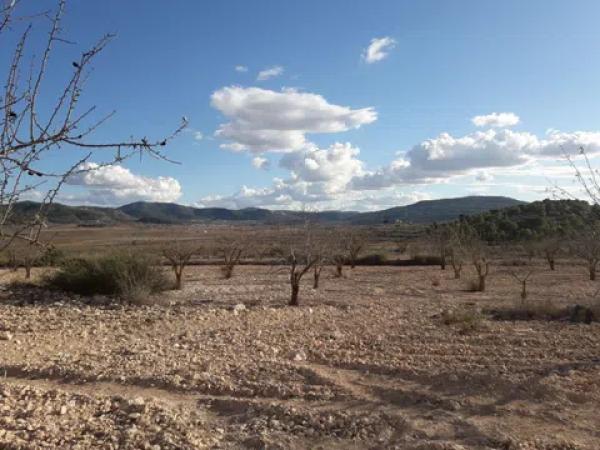 Terreno en Les camarilles, km 4