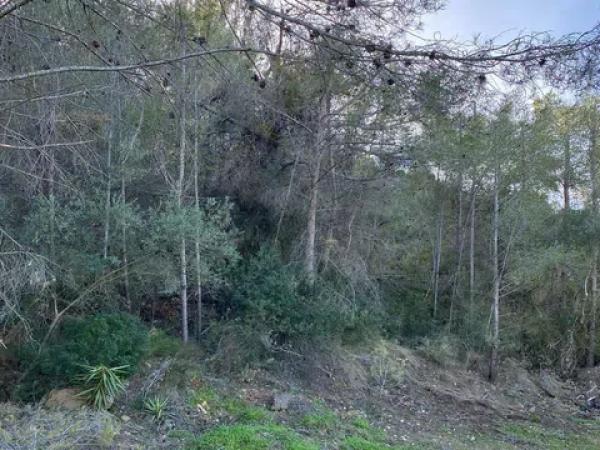 Terreno en rincon del silencio s/n