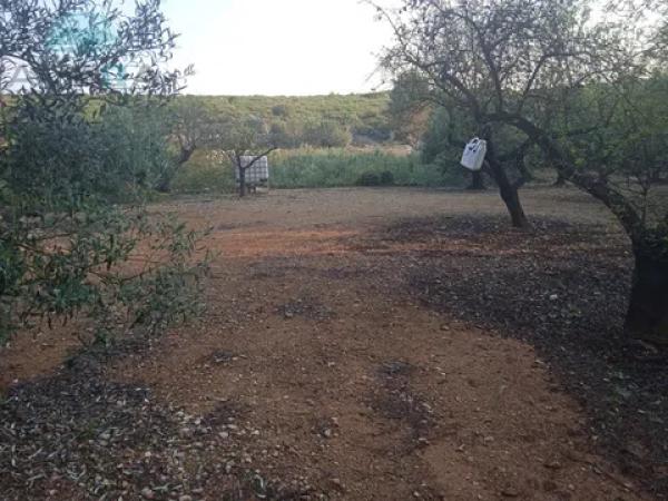 Terreno en Vall de Gallinera