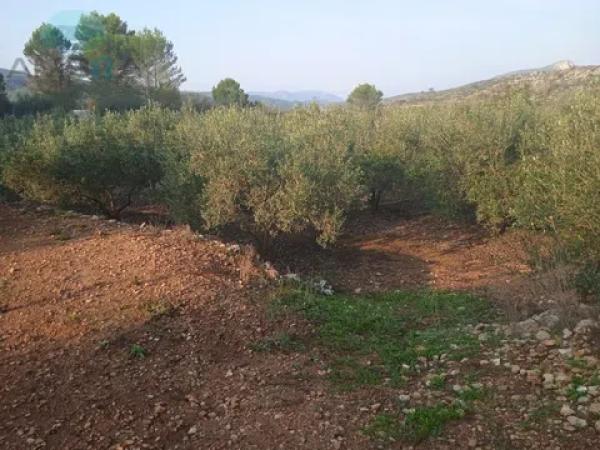 Terreno en Vall de Gallinera