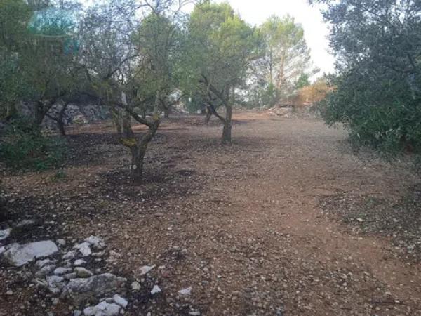 Terreno en Vall de Gallinera