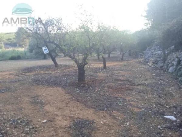 Terreno en Vall de Gallinera